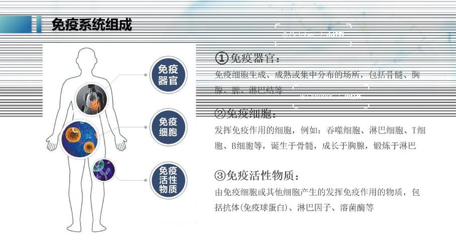 免疫治疗耐药？中国科学家发现显著提升T细胞“战斗力”靶点