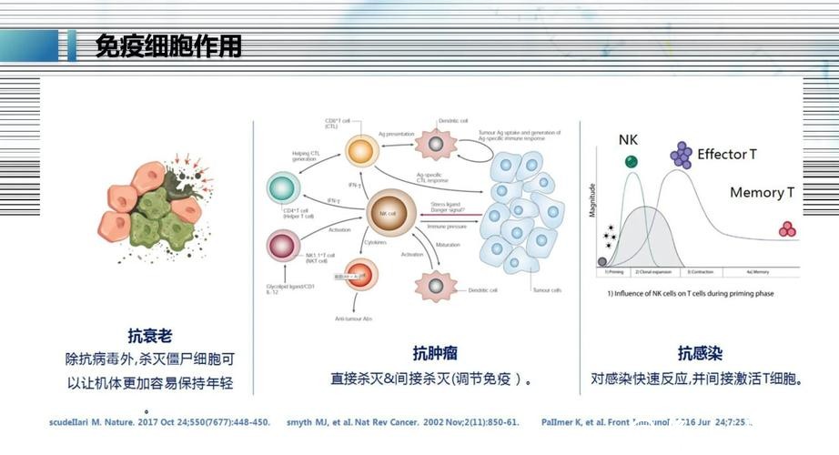免疫治疗耐药？中国科学家发现显著提升T细胞“战斗力”靶点